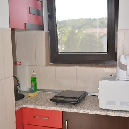 Zapovedni Rai דירה פרימורסקו